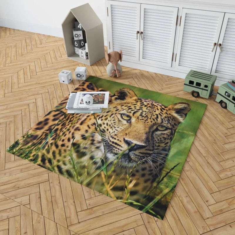 Leopard Elusive Rug 1