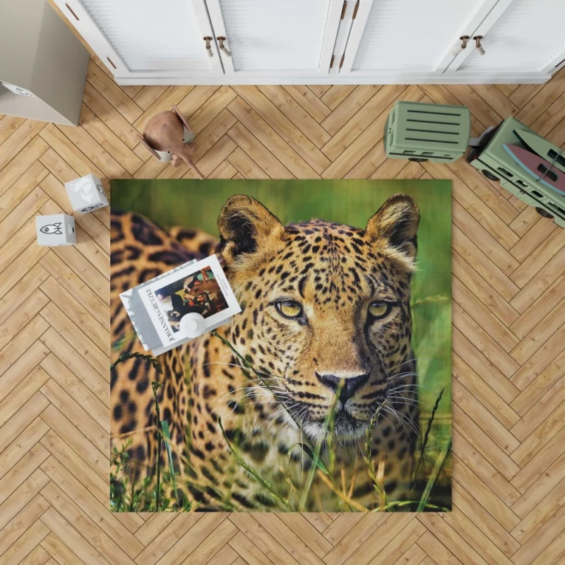 Leopard Elusive Rug