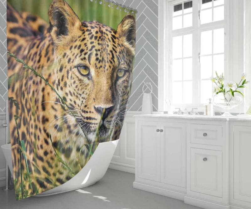 Leopard Elusive Shower Curtain 1