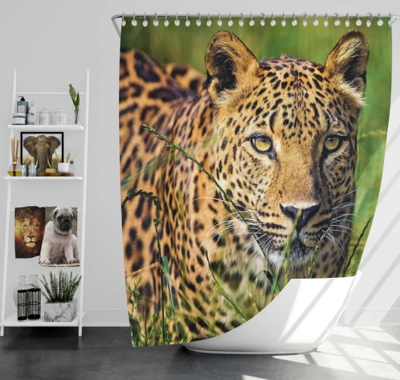 Leopard Elusive Shower Curtain