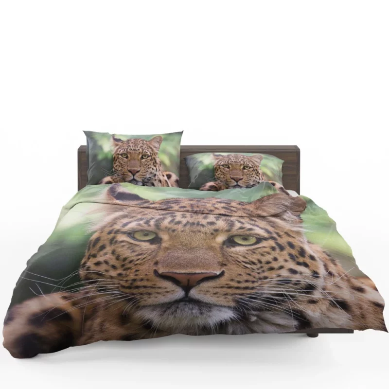 Leopard Enigmatic Beauty Natural Grace Bedding Set