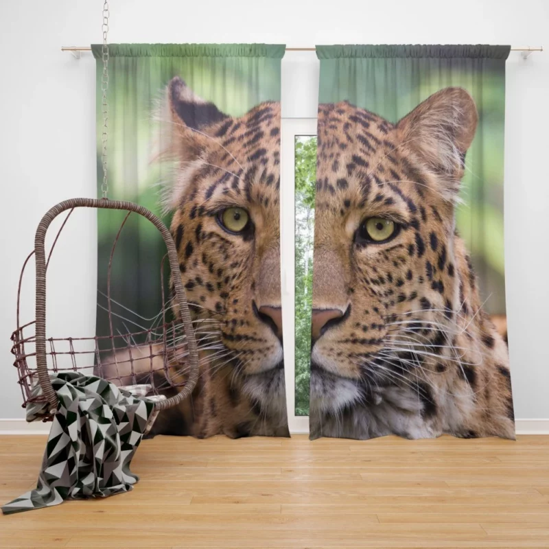 Leopard Enigmatic Beauty Natural Grace Curtain