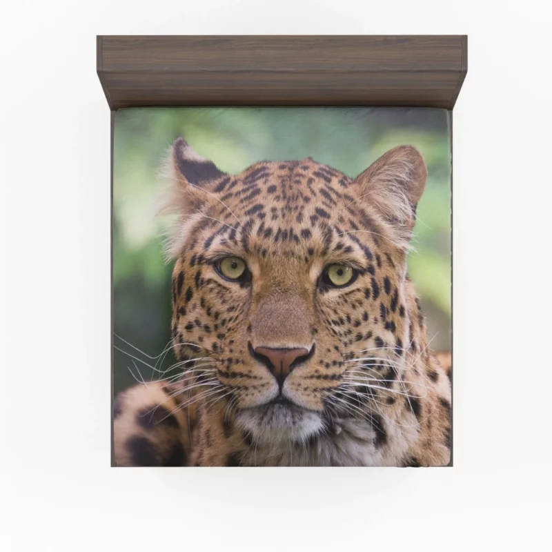 Leopard Enigmatic Beauty Natural Grace Fitted Sheet 1