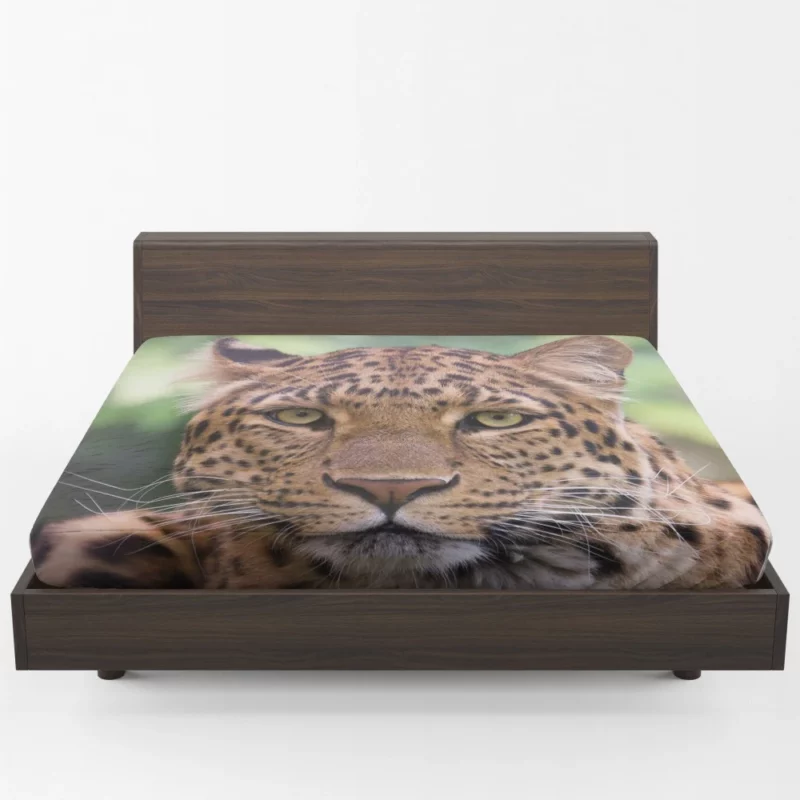 Leopard Enigmatic Beauty Natural Grace Fitted Sheet