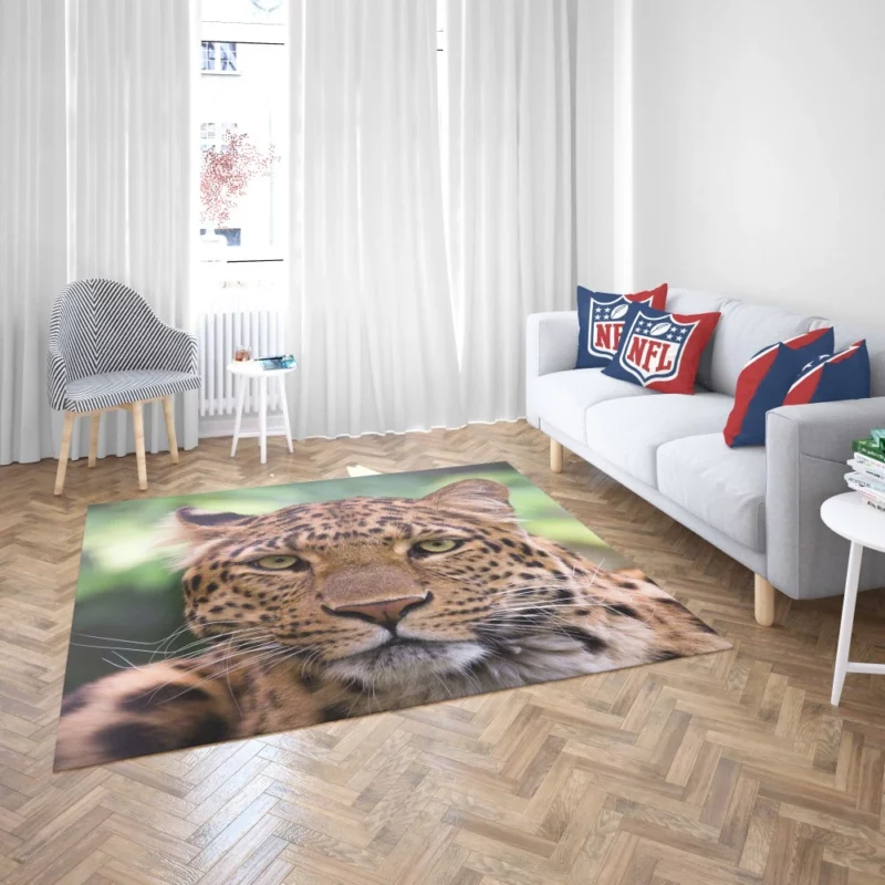 Leopard Enigmatic Beauty Natural Grace Rug 2