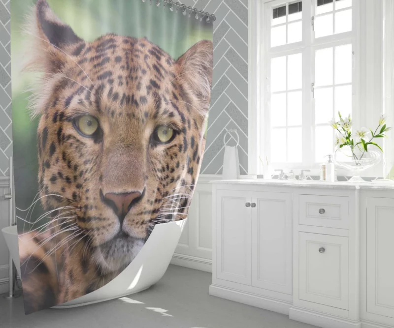 Leopard Enigmatic Beauty Natural Grace Shower Curtain 1