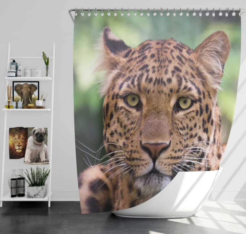 Leopard Enigmatic Beauty Natural Grace Shower Curtain