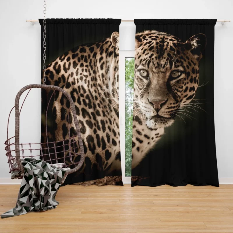 Leopard Enigmatic Presence Curtain