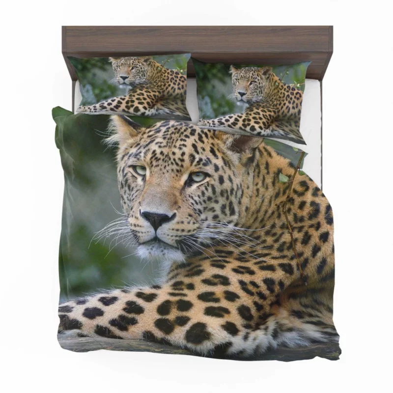 Leopard Exotic Bedding Set 1