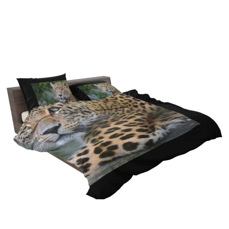 Leopard Exotic Bedding Set 2