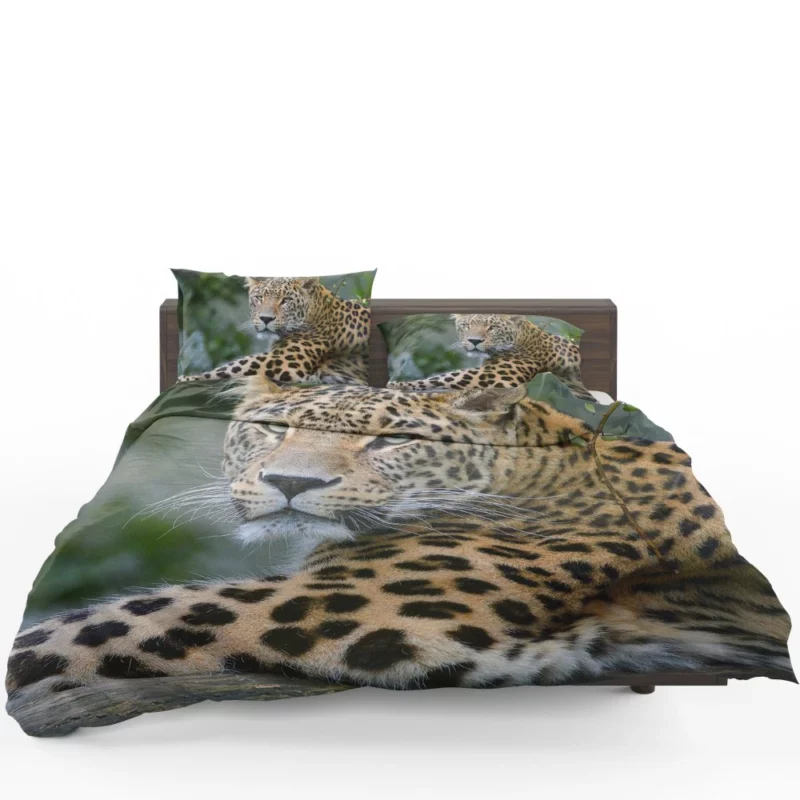 Leopard Exotic Bedding Set