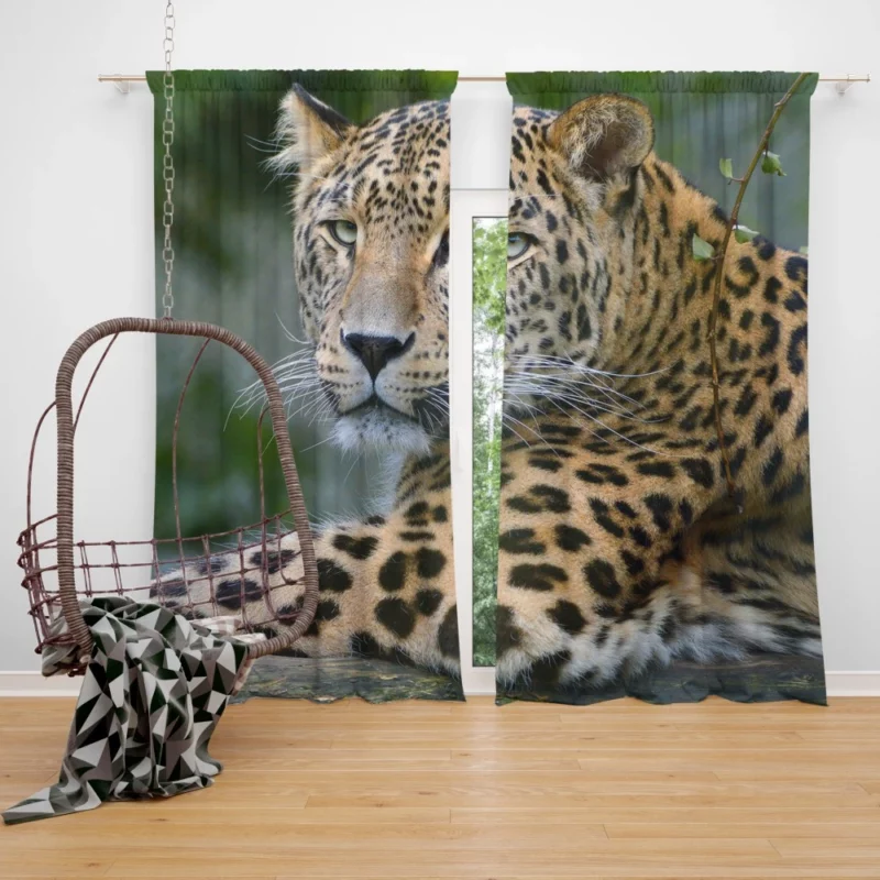 Leopard Exotic Curtain