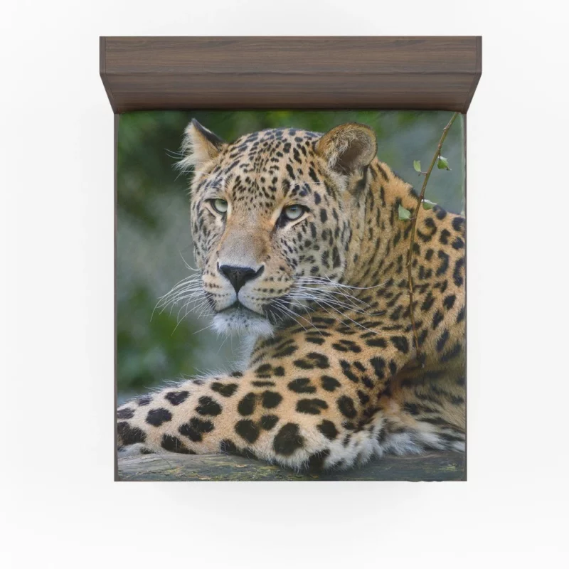 Leopard Exotic Fitted Sheet 1