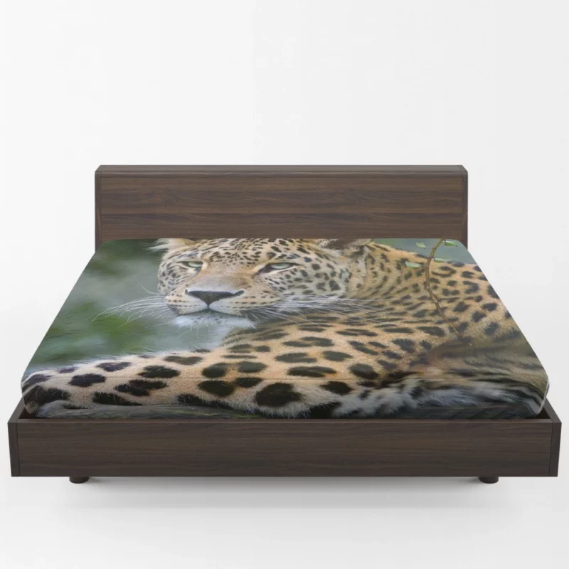 Leopard Exotic Fitted Sheet