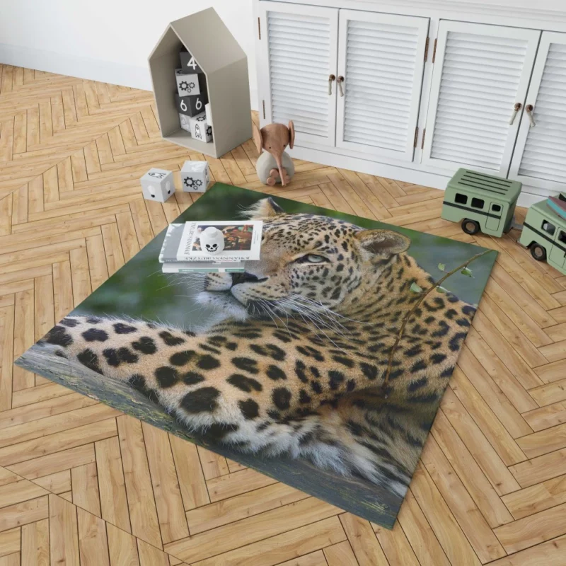 Leopard Exotic Rug 1