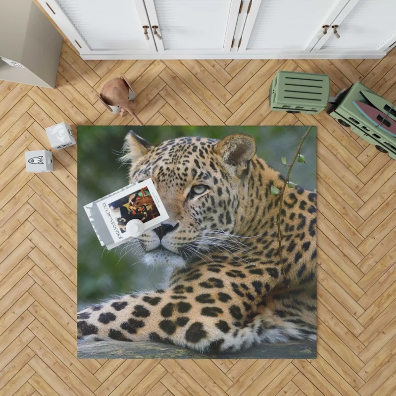 Leopard Exotic Rug