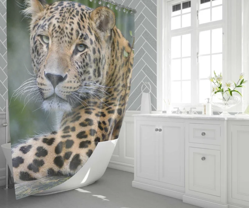 Leopard Exotic Shower Curtain 1