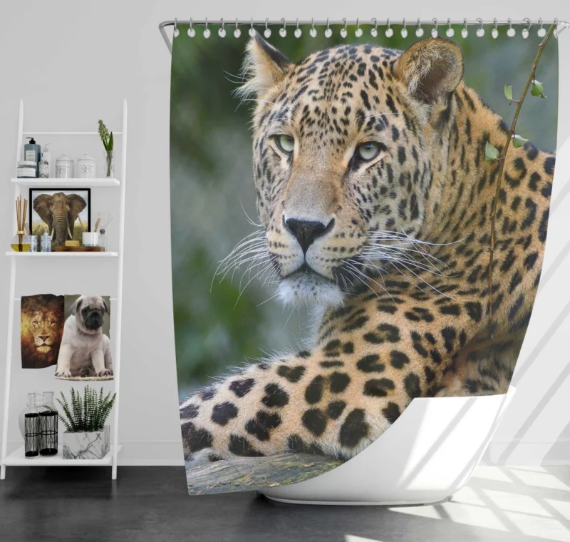 Leopard Exotic Shower Curtain