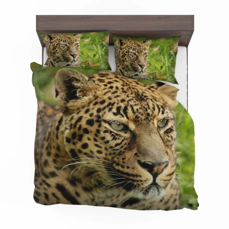 Leopard Ferocious Animal Bedding Set 1