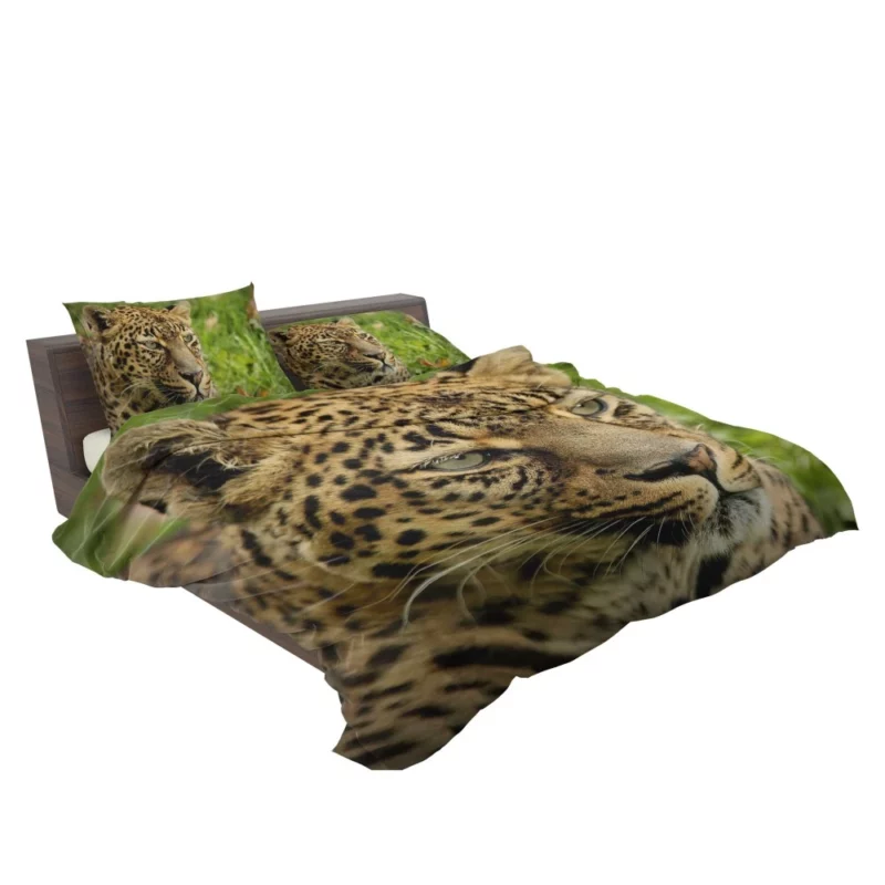 Leopard Ferocious Animal Bedding Set 2