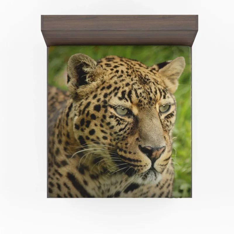 Leopard Ferocious Animal Fitted Sheet 1