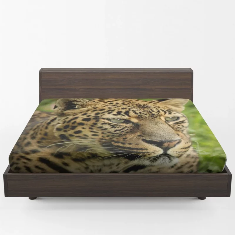 Leopard Ferocious Animal Fitted Sheet