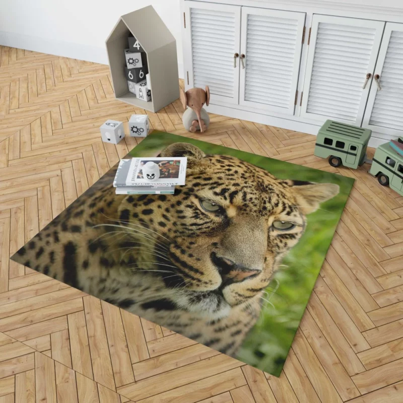 Leopard Ferocious Animal Rug 1