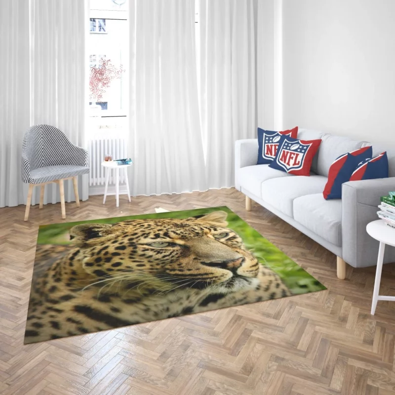 Leopard Ferocious Animal Rug 2