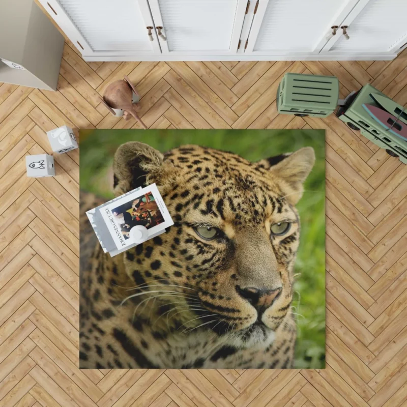 Leopard Ferocious Animal Rug