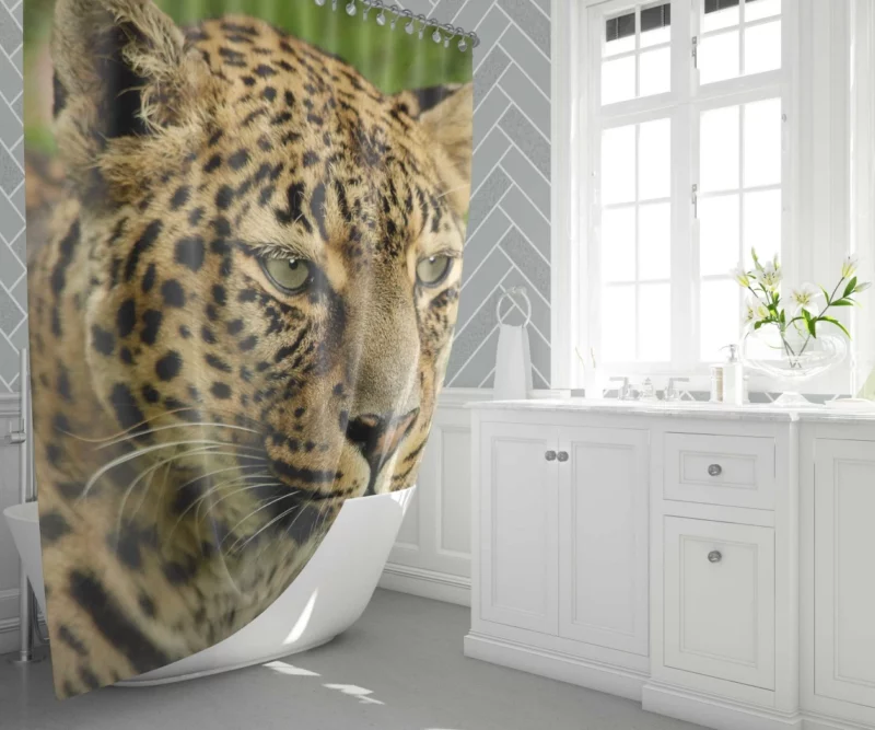 Leopard Ferocious Animal Shower Curtain 1