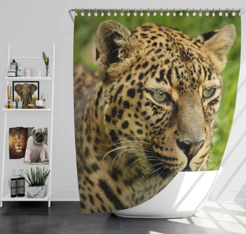 Leopard Ferocious Animal Shower Curtain