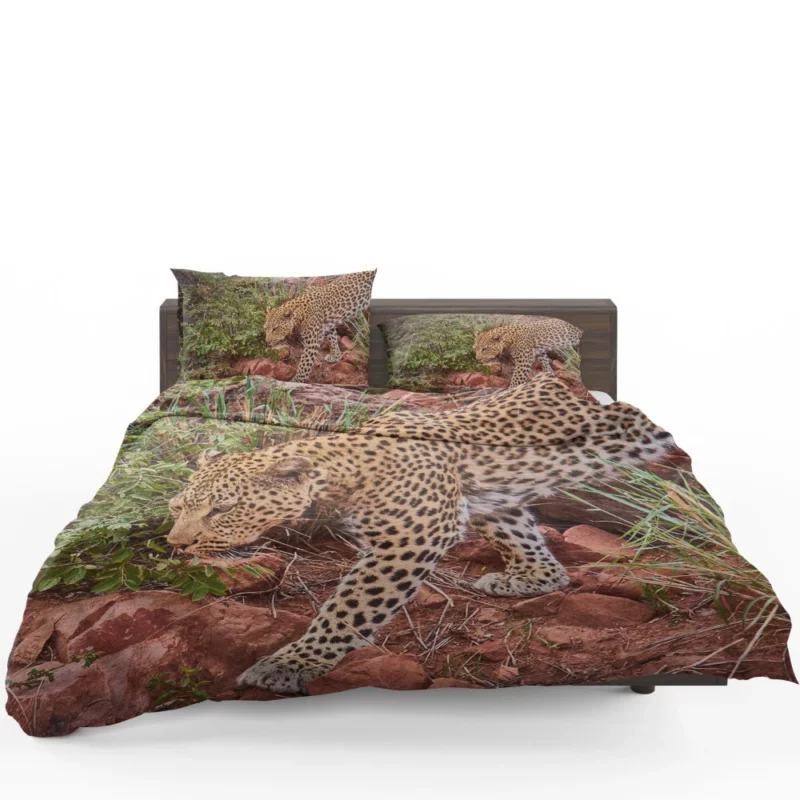 Leopard Ferocious Bedding Set