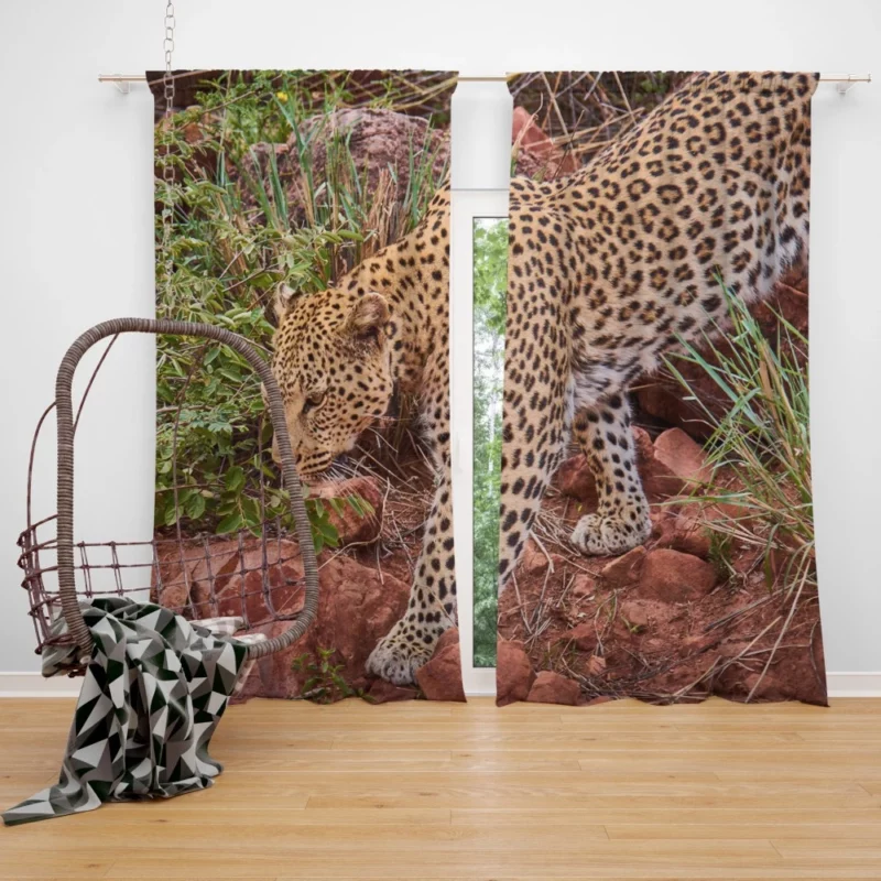 Leopard Ferocious Curtain