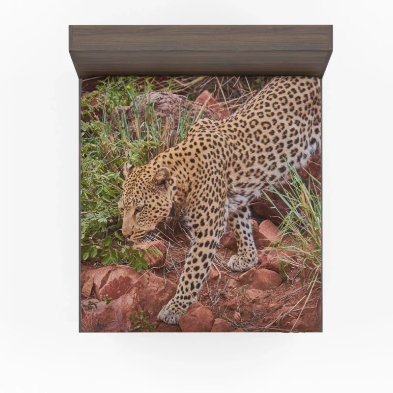 Leopard Ferocious Fitted Sheet 1