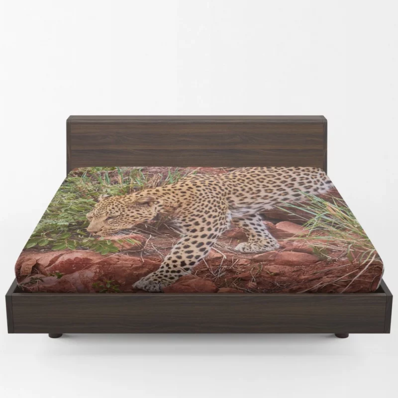 Leopard Ferocious Fitted Sheet