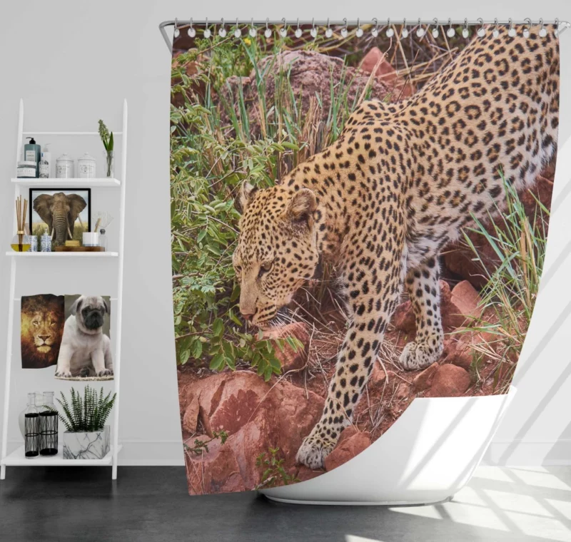 Leopard Ferocious Shower Curtain