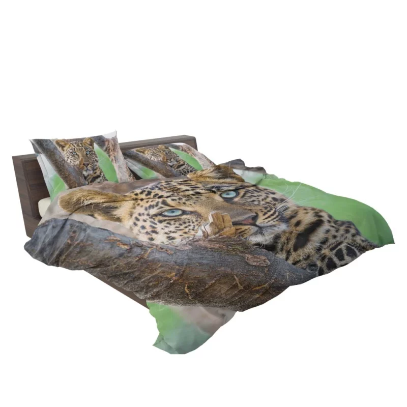 Leopard Fierce Gaze Essence of the Panthera Bedding Set 2