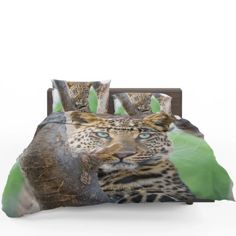 Leopard Fierce Gaze Essence of the Panthera Bedding Set