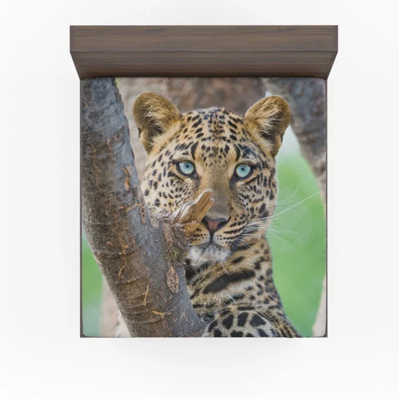 Leopard Fierce Gaze Essence of the Panthera Fitted Sheet 1