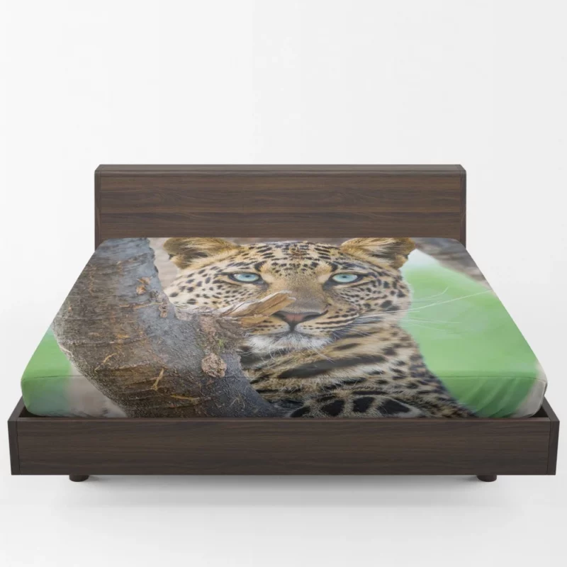 Leopard Fierce Gaze Essence of the Panthera Fitted Sheet