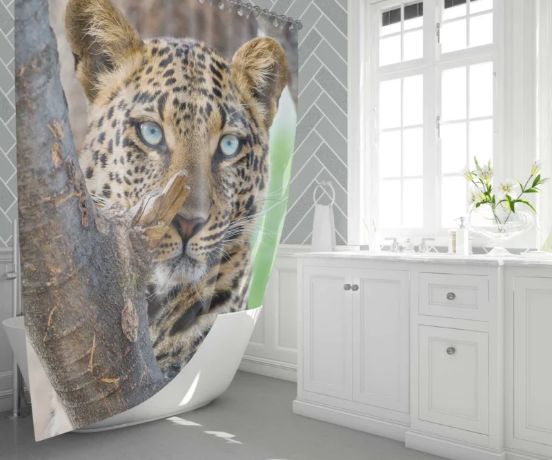 Leopard Fierce Gaze Essence of the Panthera Shower Curtain 1