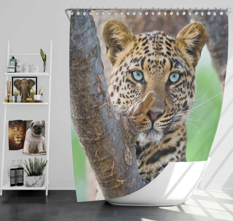 Leopard Fierce Gaze Essence of the Panthera Shower Curtain