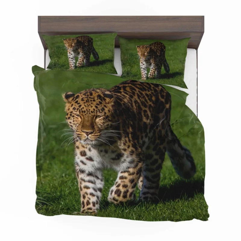 Leopard Fierce Gaze Jungle Majesty Bedding Set 1