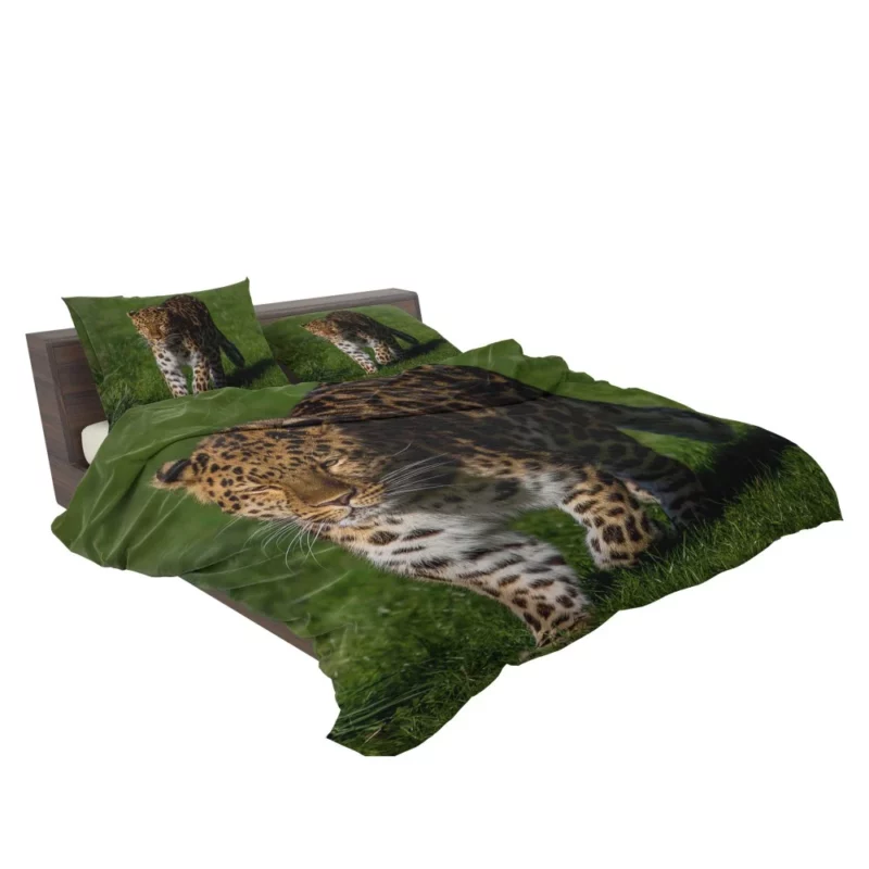 Leopard Fierce Gaze Jungle Majesty Bedding Set 2