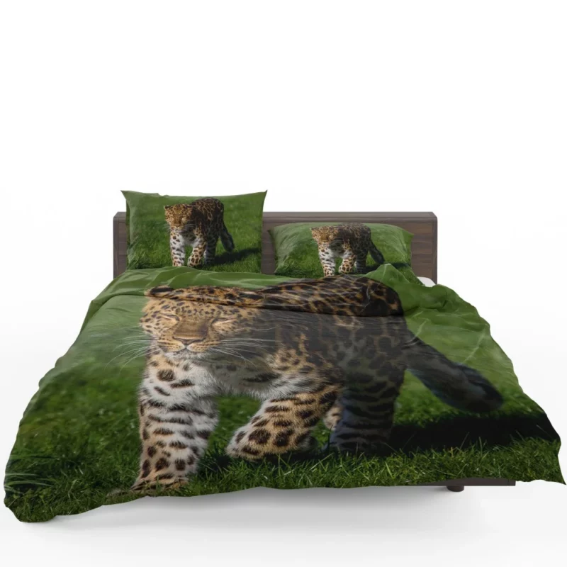 Leopard Fierce Gaze Jungle Majesty Bedding Set