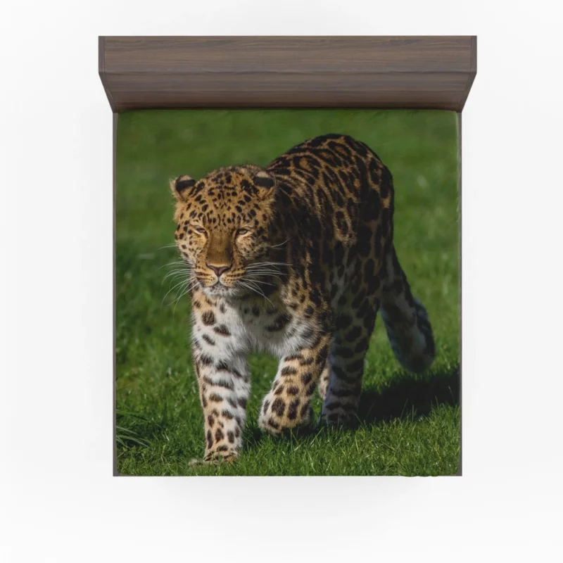 Leopard Fierce Gaze Jungle Majesty Fitted Sheet 1