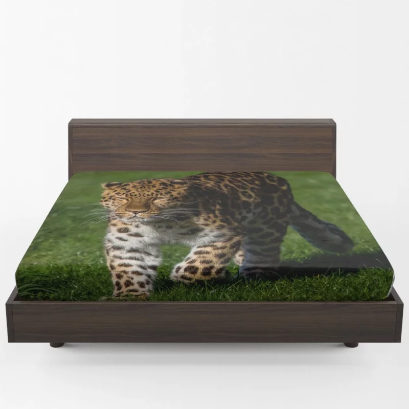 Leopard Fierce Gaze Jungle Majesty Fitted Sheet