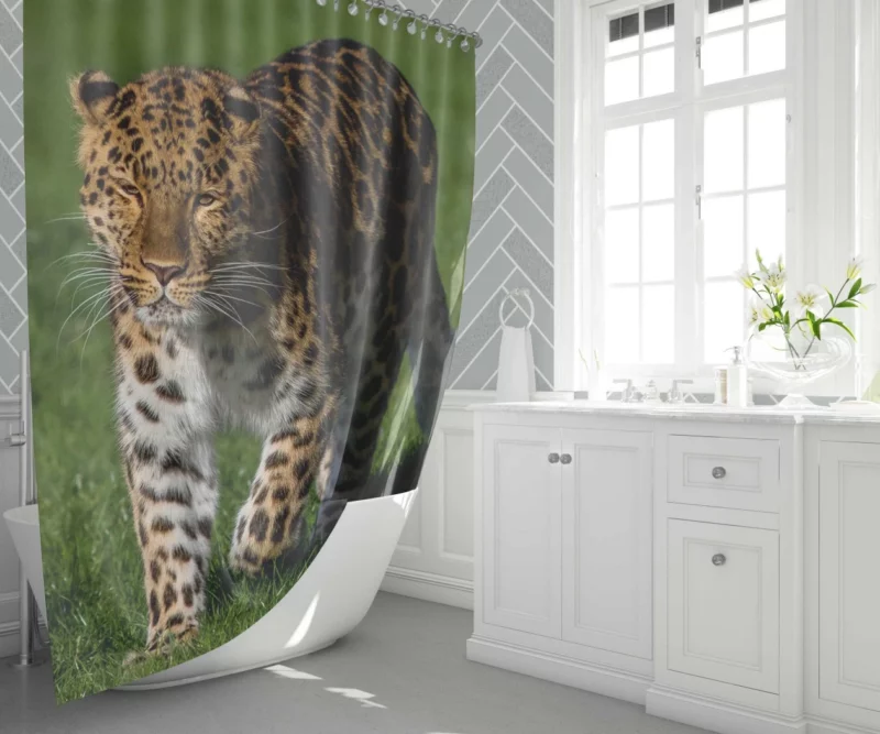 Leopard Fierce Gaze Jungle Majesty Shower Curtain 1