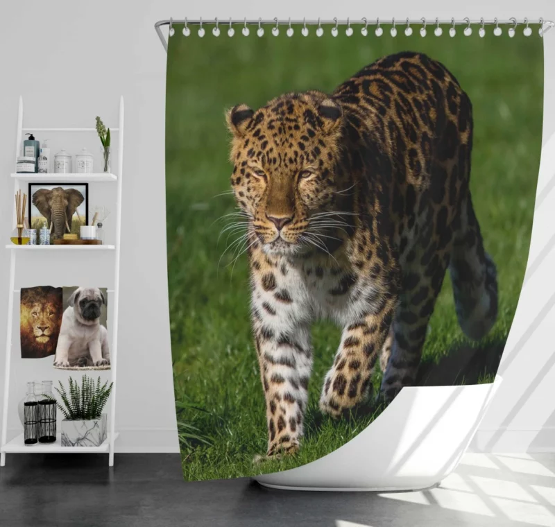 Leopard Fierce Gaze Jungle Majesty Shower Curtain