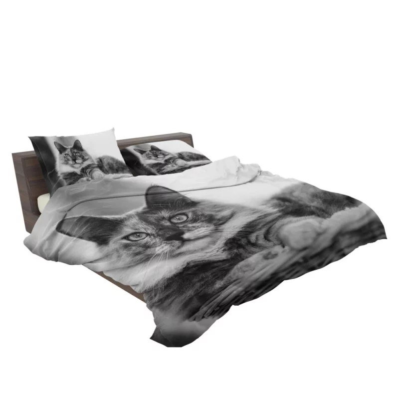 Leopard Fierce Roar Wild Majesty Bedding Set 2